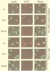 FIG. 7