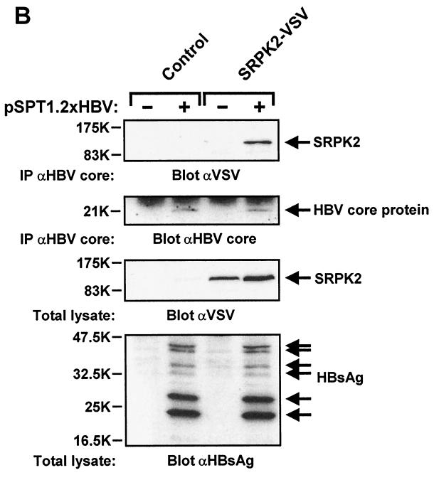 FIG. 9.