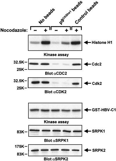 FIG. 7.