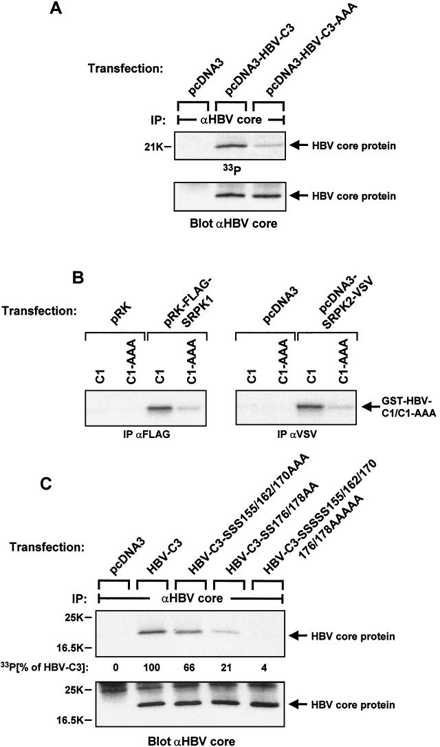 FIG.5.