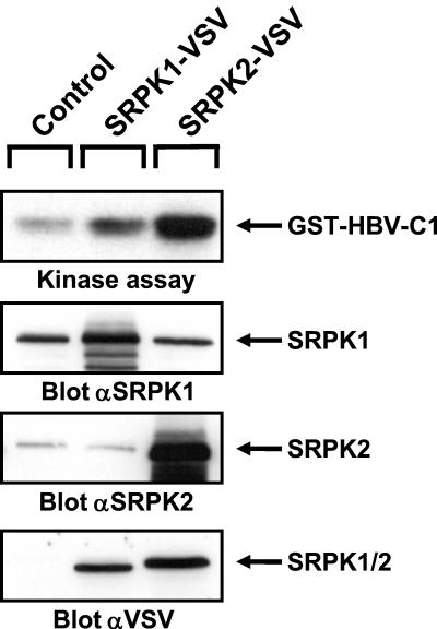 FIG. 10.