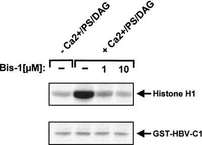 FIG. 8.