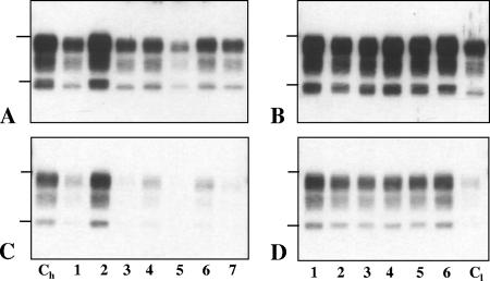 FIG. 5.