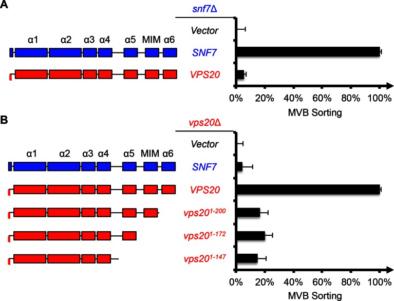 Figure 1—figure supplement 1.