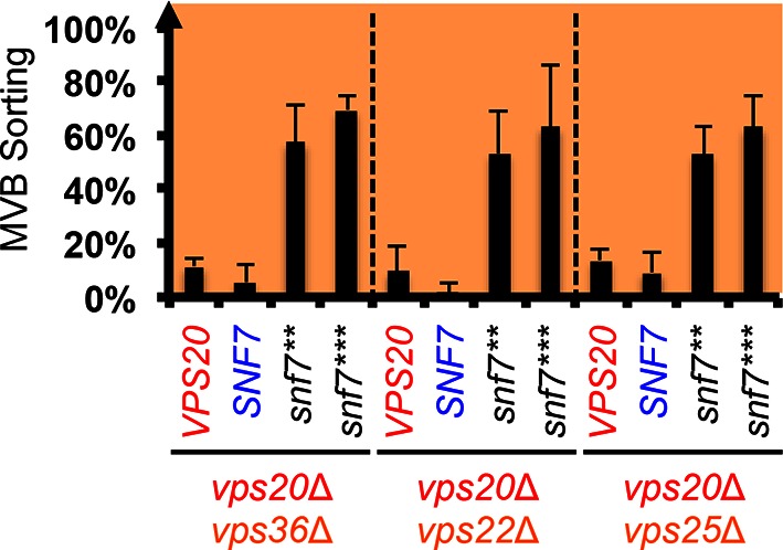 Figure 3—figure supplement 3.