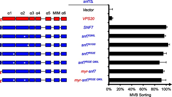 Figure 2—figure supplement 1.