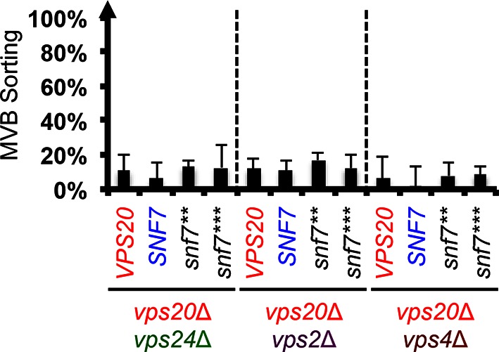 Figure 3—figure supplement 1.