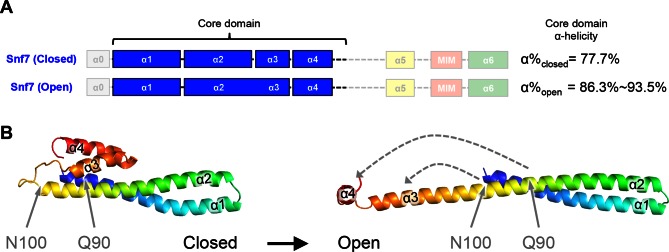 Figure 1—figure supplement 3.