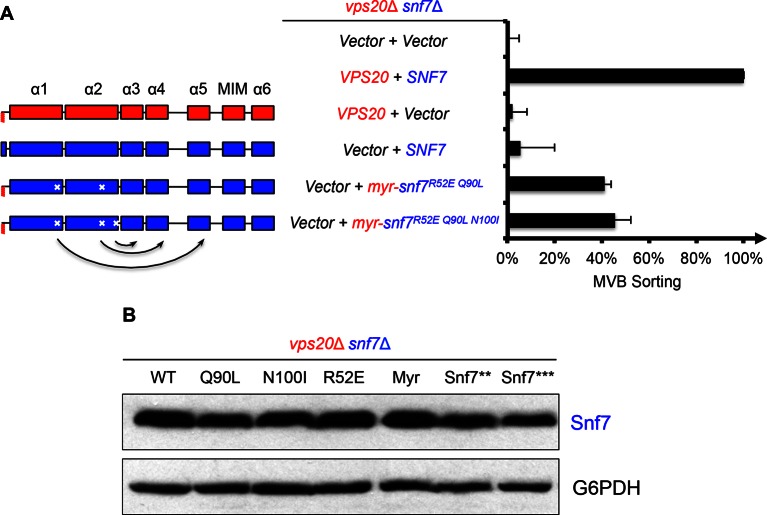 Figure 2—figure supplement 2.