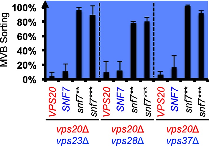 Figure 3—figure supplement 5.