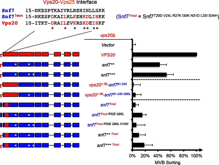 Figure 3—figure supplement 2.