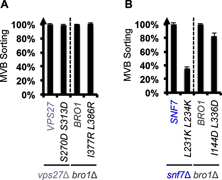 Figure 4—figure supplement 1.