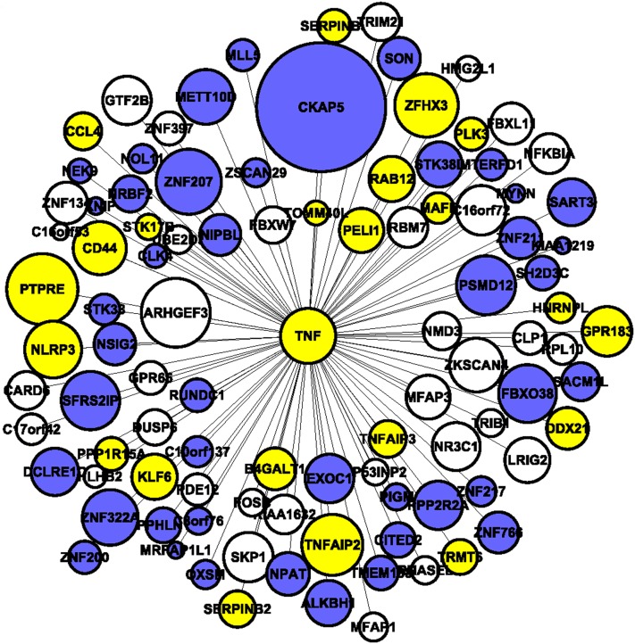 Figure 4 