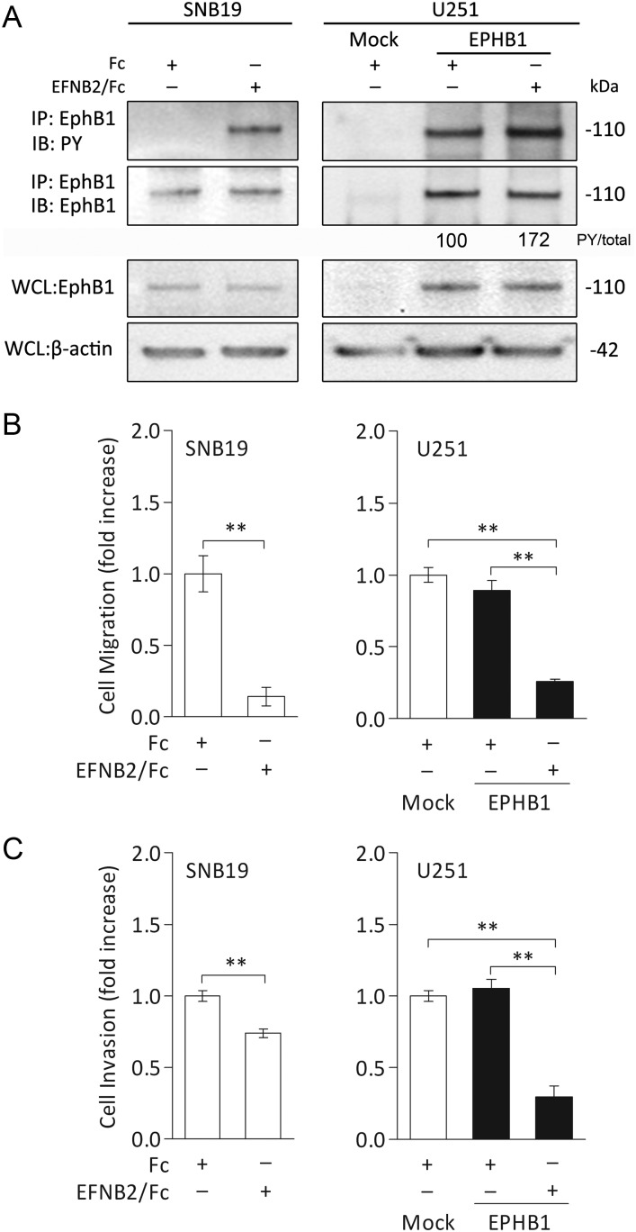 Fig. 4.