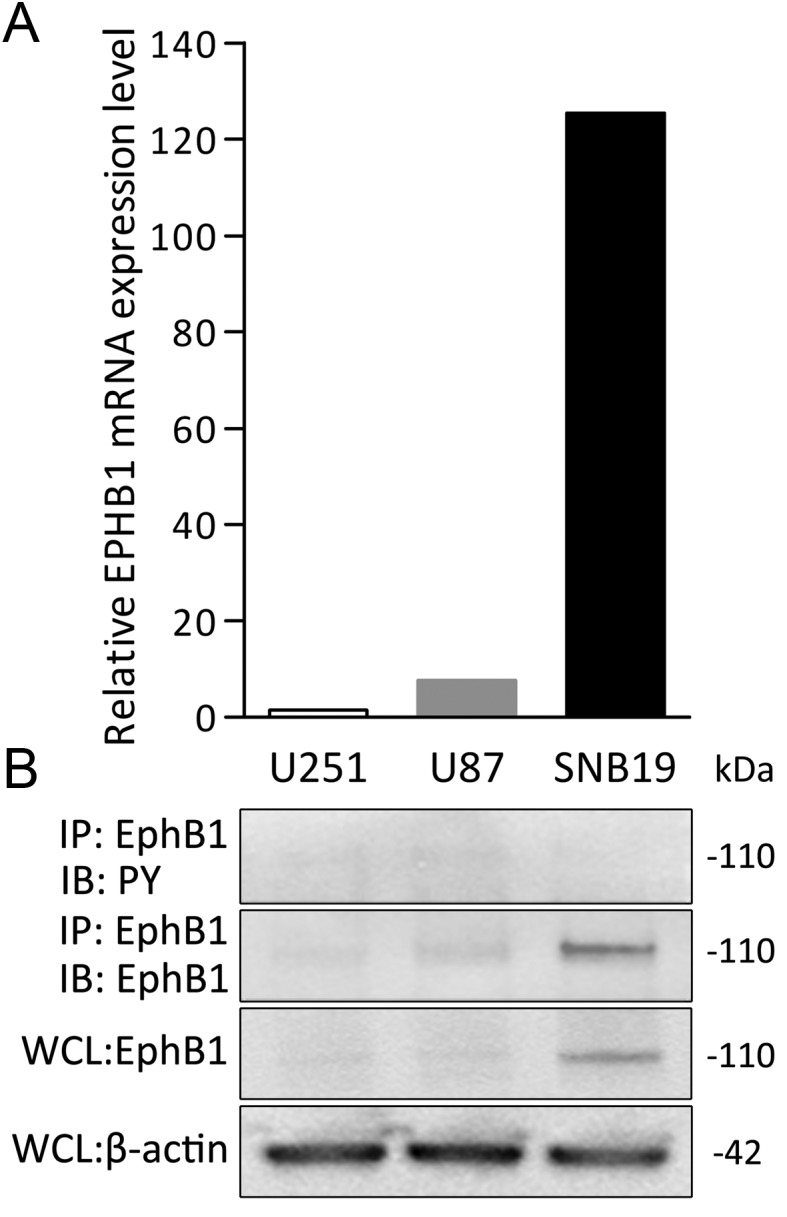 Fig. 2.