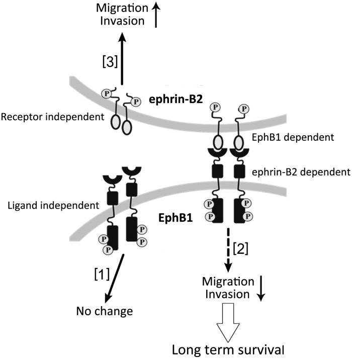 Fig. 9.