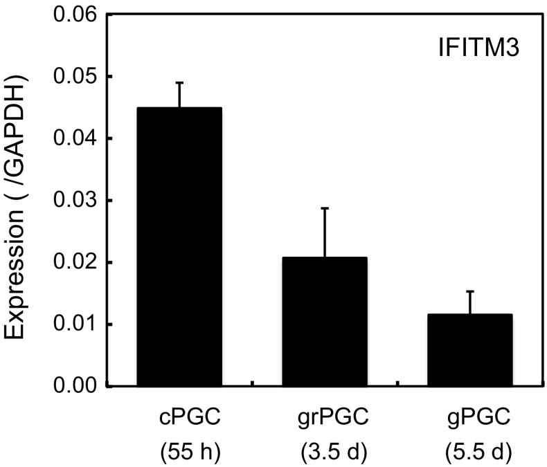 Fig. 4