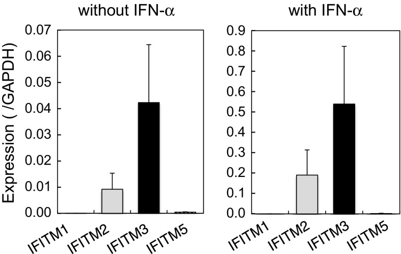 Fig. 2