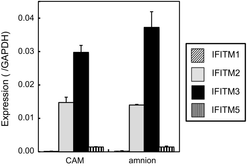 Fig. 6