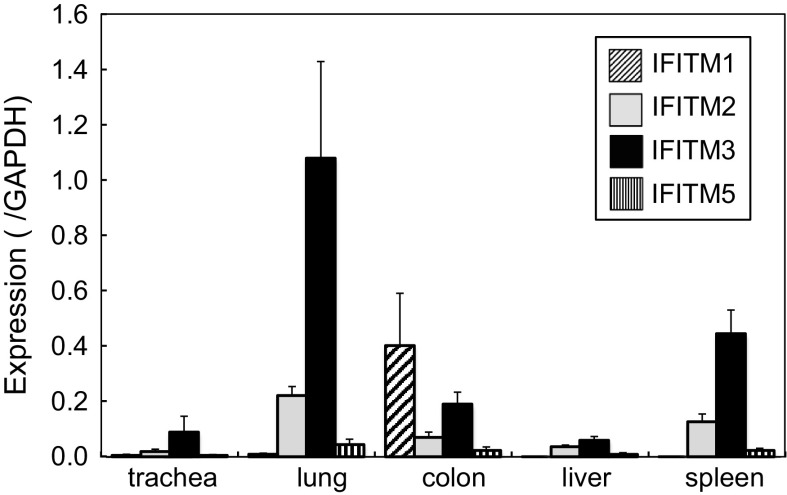 Fig. 1