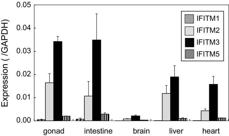 Fig. 3