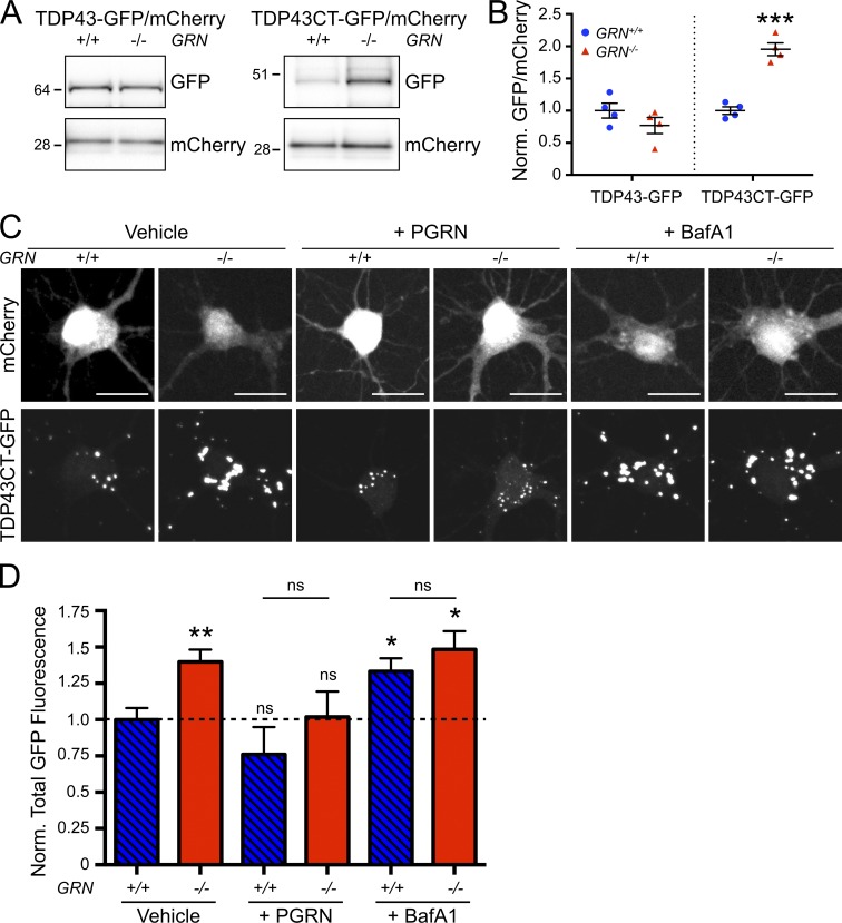 Figure 6.