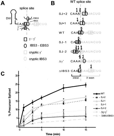 FIGURE 2.