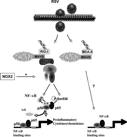 FIG. 7.