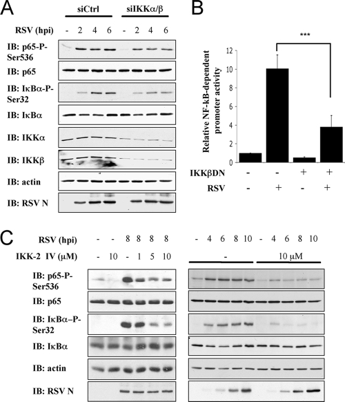 FIG. 5.