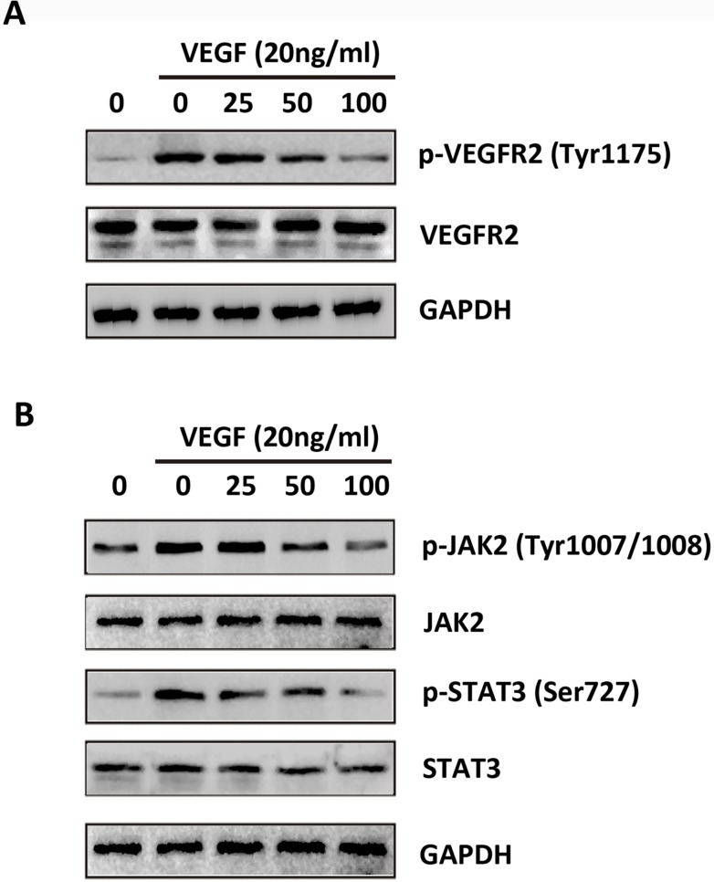 Fig 9