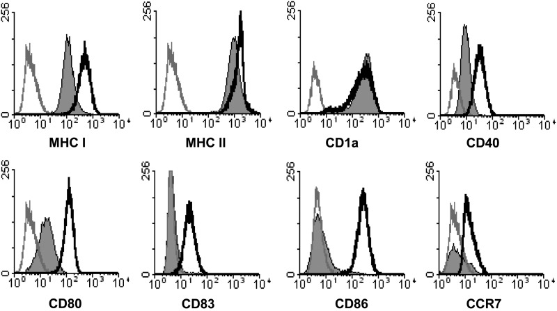 FIG. 1.