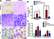 <b>FIG. 2.</b>