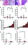 <b>FIG. 1.</b>