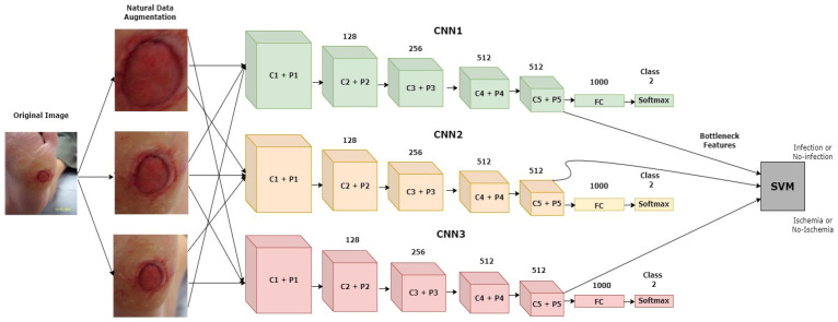 Figure 14