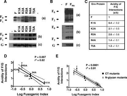 FIG. 7.