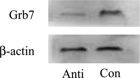 Figure 9.