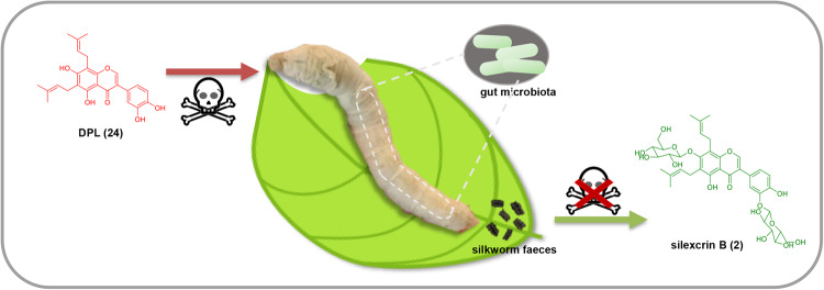 Fig. 8