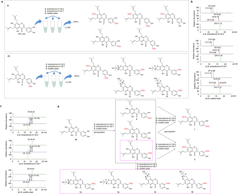 Fig. 4