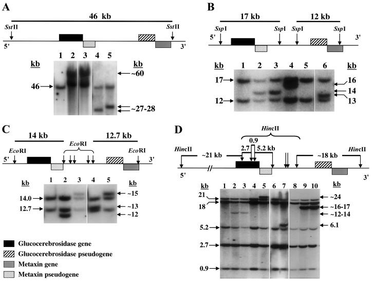 Figure  2