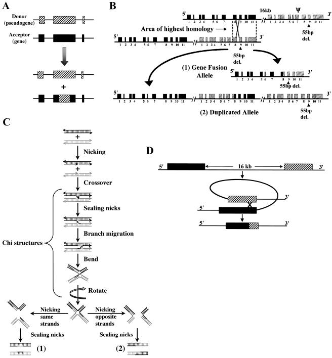 Figure  3