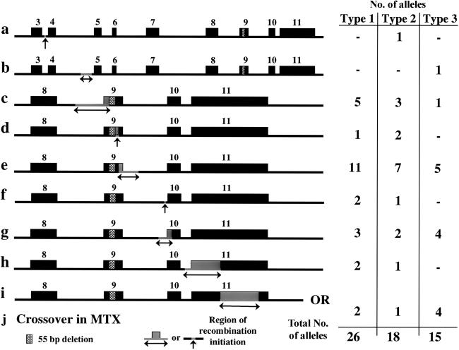 Figure  1