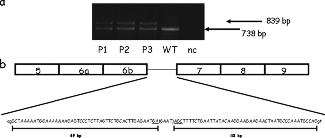 FIGURE 1.