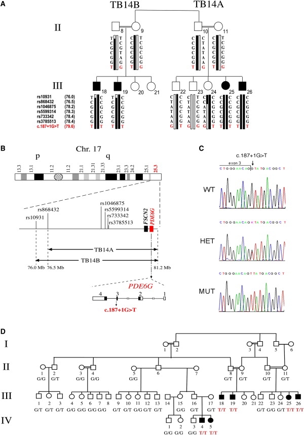 Figure 1