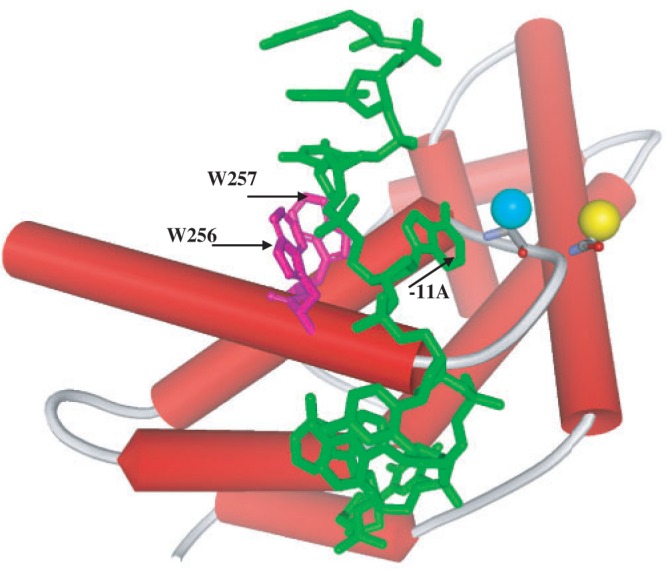 Figure 1.