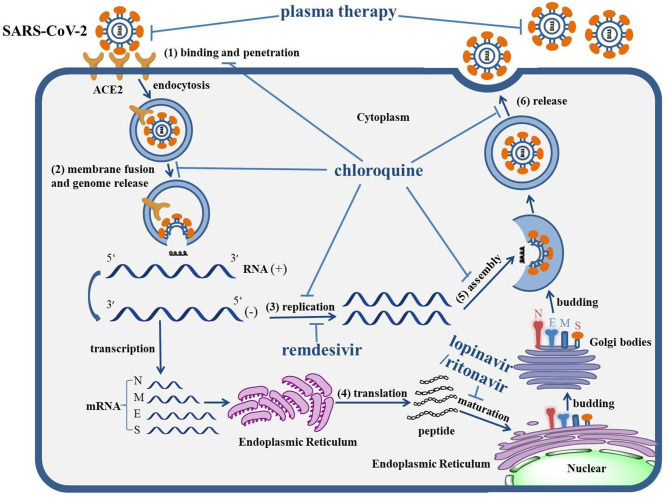 Graphical Abstract