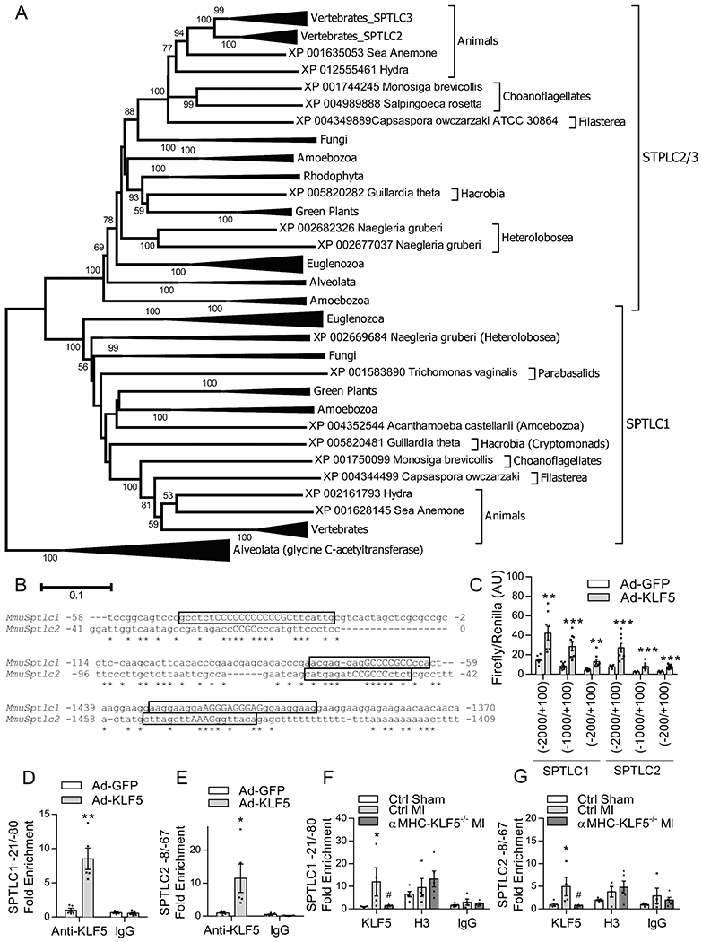 Figure 6: