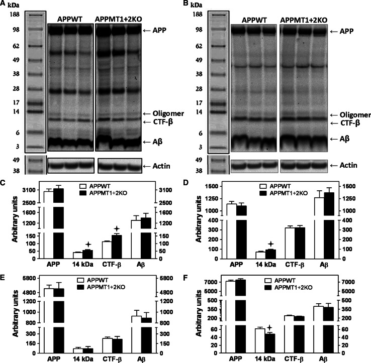 Fig. 7