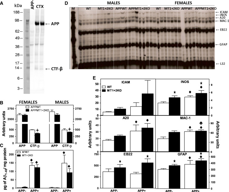 Fig. 10