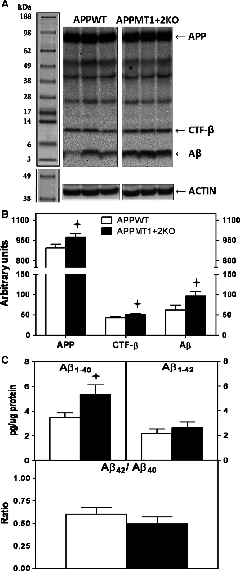 Fig. 6