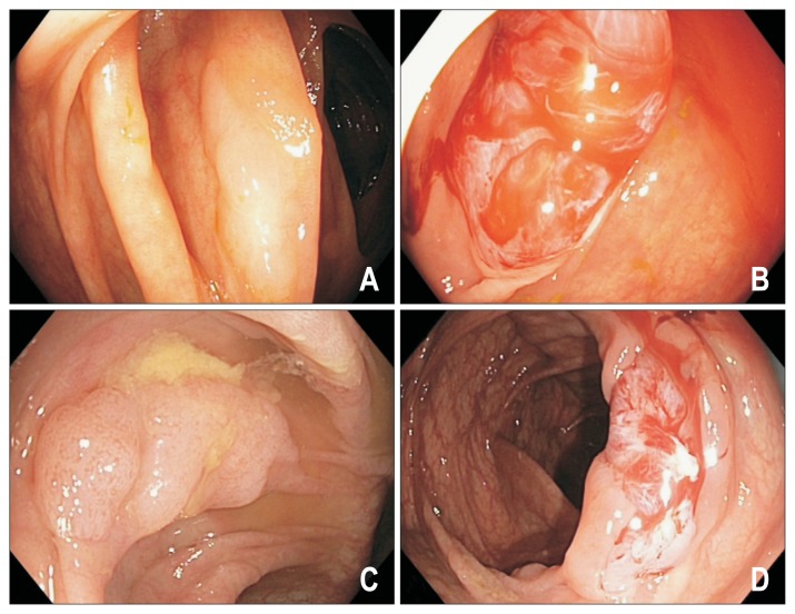 Fig. 6